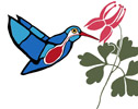 The Hummingbird & Columbine